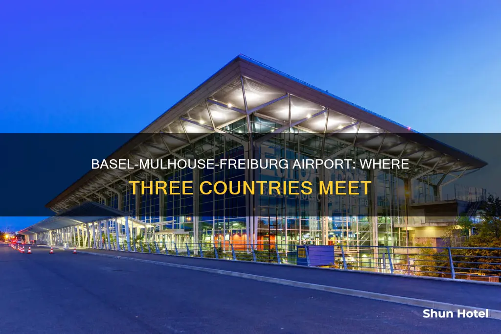 where is basel mulhouse freiburg airport