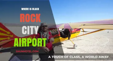 Black Rock City Airport: Location and More