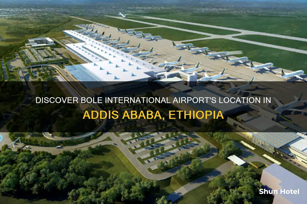 where is bole international airport