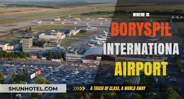 Discover Boryspil International Airport's Location: A Quick Travel Guide