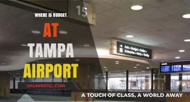 Tampa Airport Budget: Where to Find It