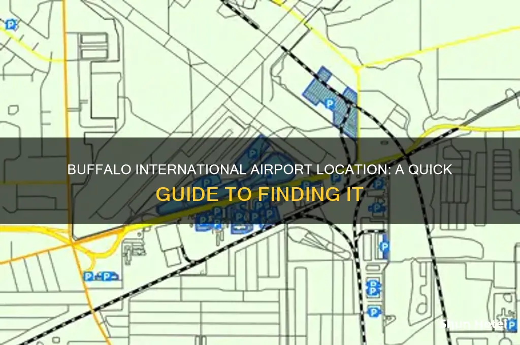where is buffalo international airport