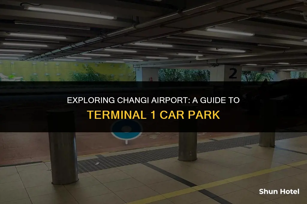 where is changi airport terminal 1 car park
