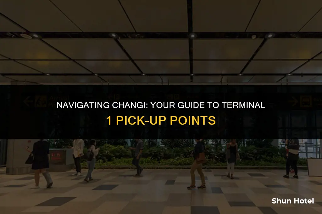 where is changi airport terminal 1 pick-up point