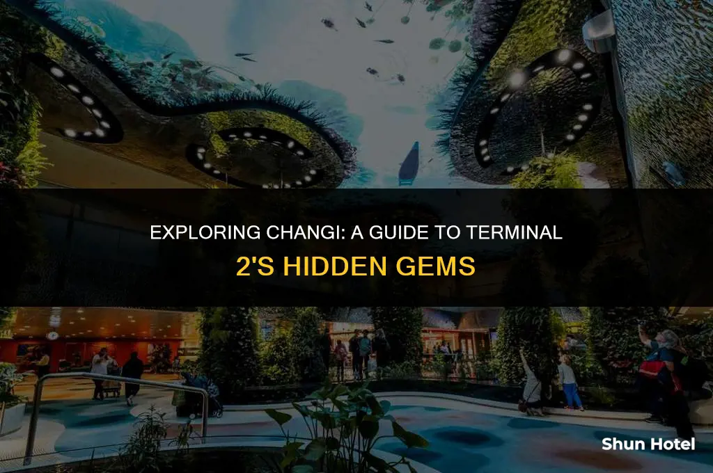 where is changi airport terminal 2
