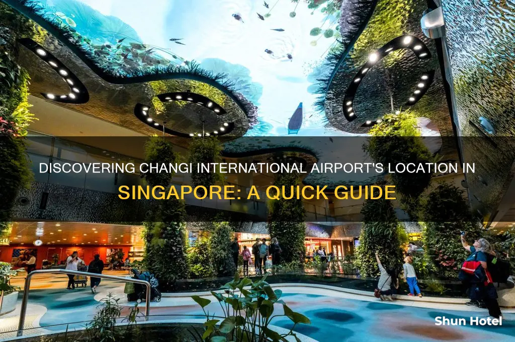 where is changi international airport