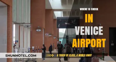Venice Airport Check-In: Location and Tips