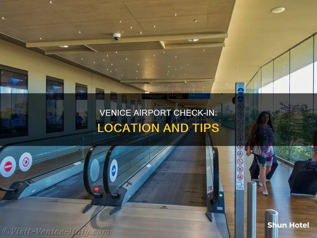 where is check in venice airport