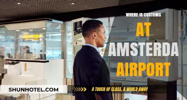 Customs at Amsterdam Airport: Where and How to Navigate