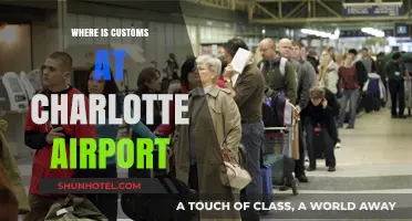 Customs at Charlotte Airport: Location and What to Expect