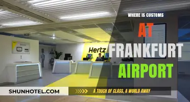 Customs at Frankfurt Airport: Where and How to Navigate