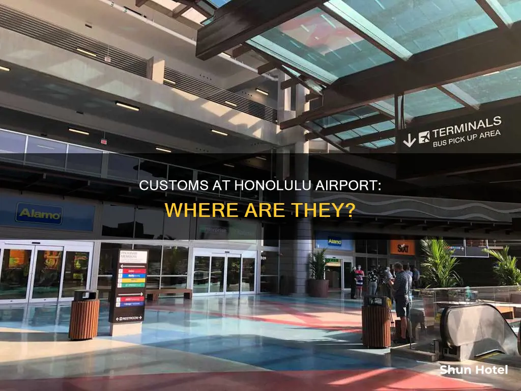 where is customs at honolulu airport