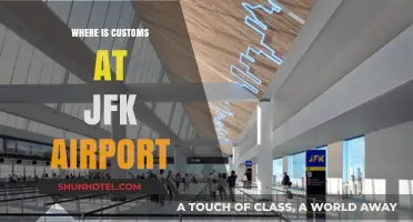 Customs at JFK: Where to Go
