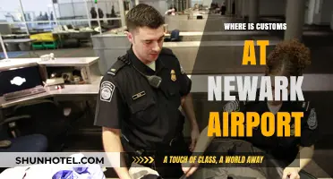 Customs at Newark: Where and How to Navigate