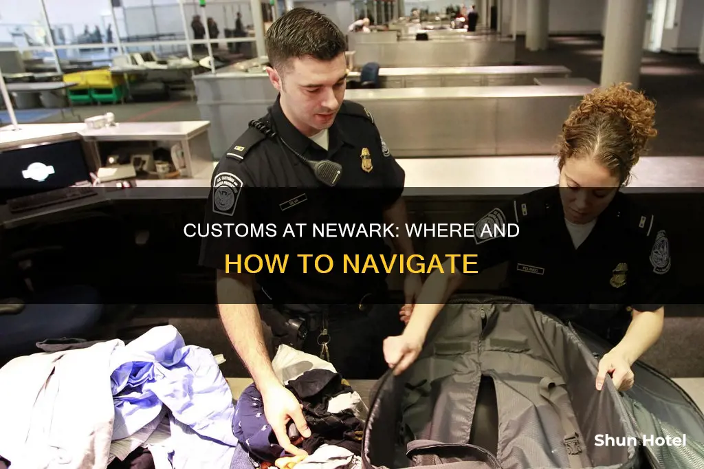 where is customs at newark airport