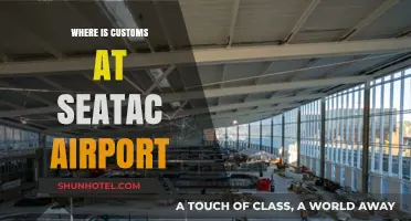 Customs at SeaTac: Location and What to Expect
