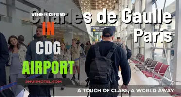 Customs at CDG: Where to Find Them