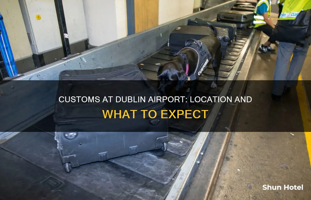 where is customs in dublin airport