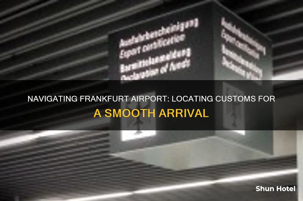 where is customs in frankfurt international airport