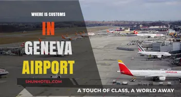 Customs at Geneva Airport: Location and What to Expect