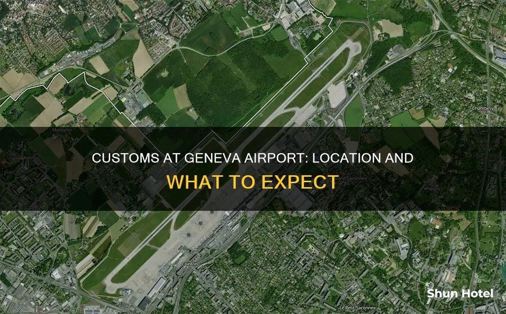 where is customs in geneva airport