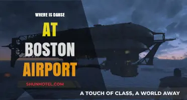 Danse's Boston Airport Adventure: Where is He?