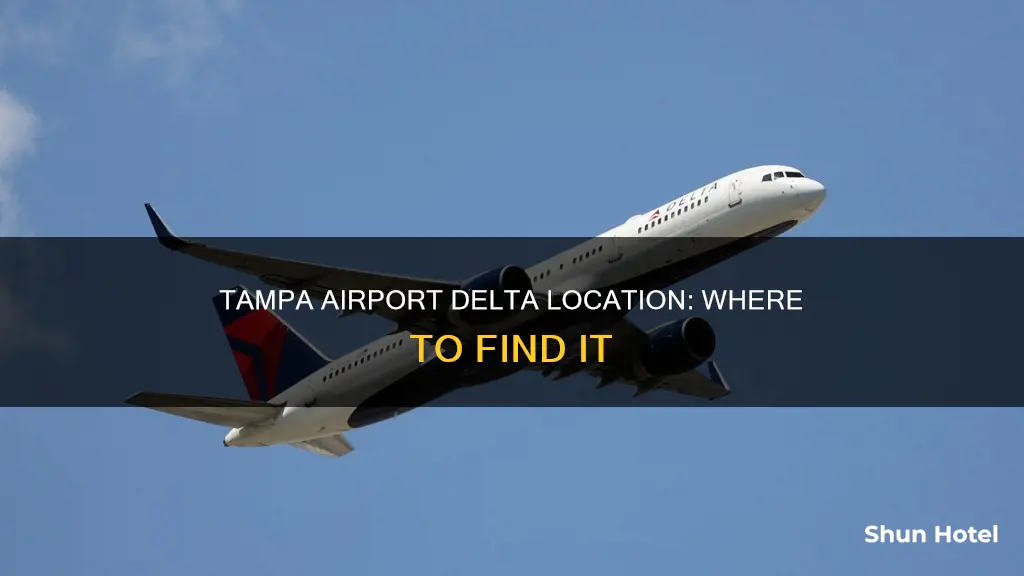 where is delta at tampa airport