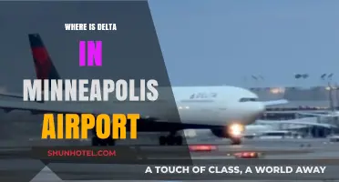 Delta's Home: Navigating Minneapolis-St. Paul Airport