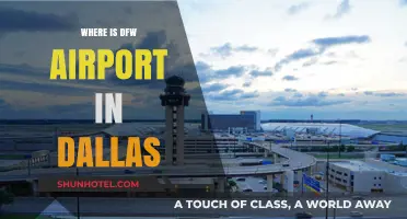 DFW Airport: A Dallas Hub