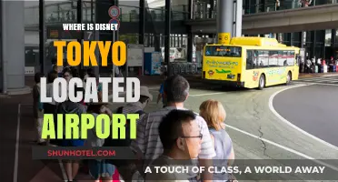 Tokyo Disney: Airport Accessibility and Proximity