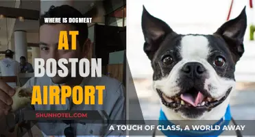Finding Dogmeat at Boston Airport: A Guide