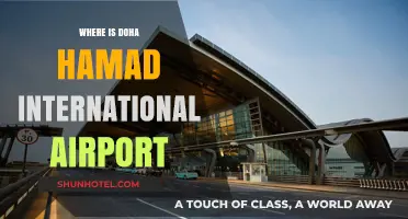 Discover Doha: Location of Hamad International Airport Guide
