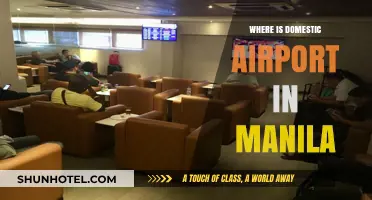 Manila's Domestic Airport: Location and Terminals