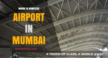 Mumbai's Domestic Airport: Location and Terminal Guide