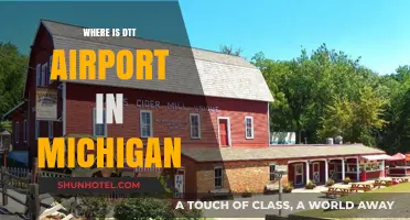 Dtt Airport: Where is it in Michigan?