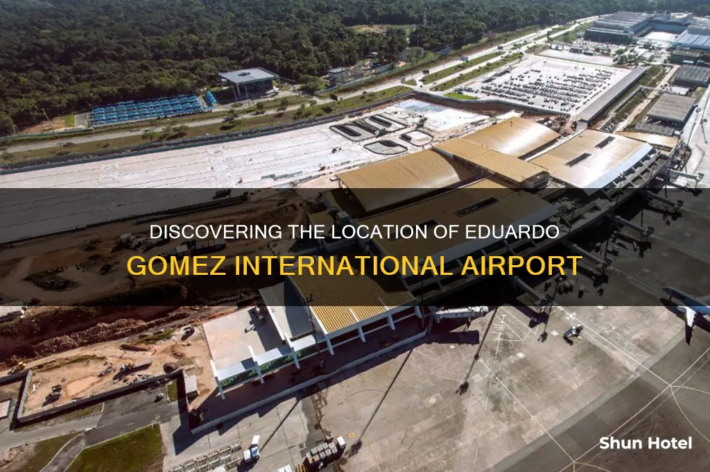 where is eduardo gomez international airport