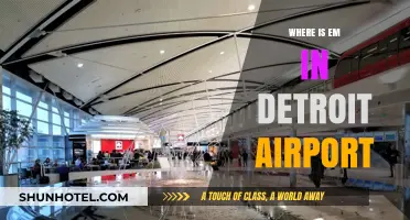 Navigating Detroit Airport: Finding the Elusive EM