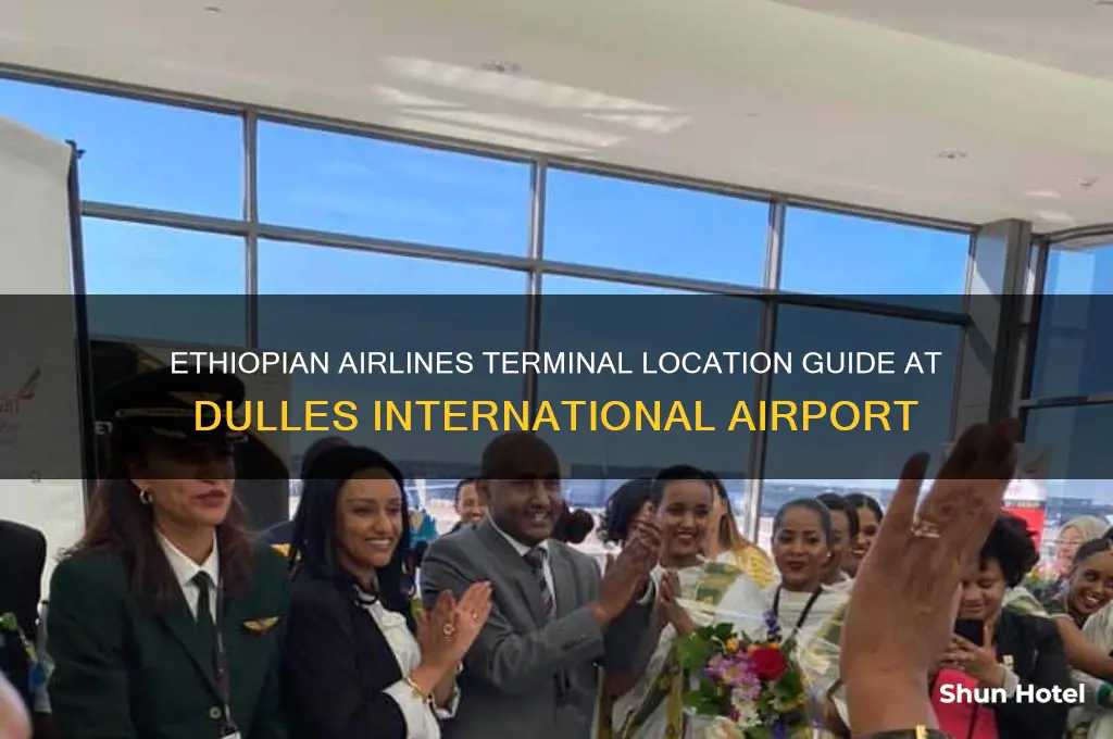 where is ethiopia airlines located at dulles international airport