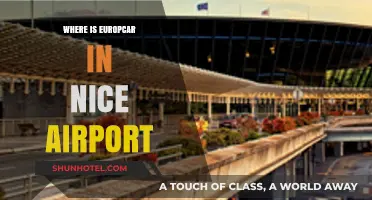 Europcar Nice Airport: Location and Services