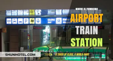 Fiumicino Airport Train Station: Location and Access Guide