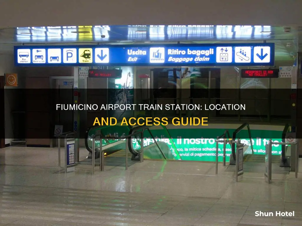 where is fiumicino airport train station