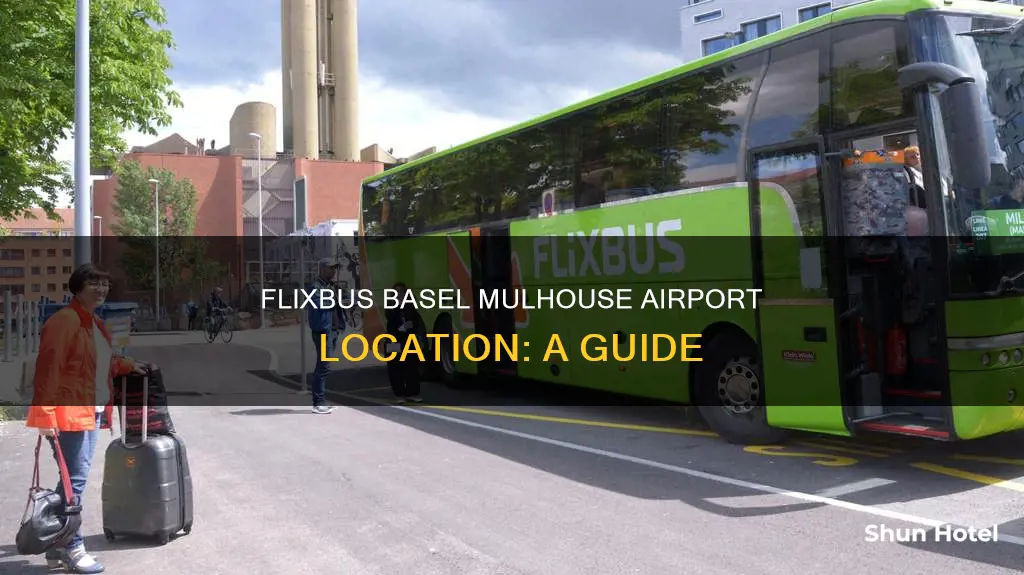 where is flixbus basel ulhouse airport