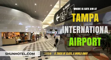 Finding Gate A18 at Tampa International Airport: A Quick Guide