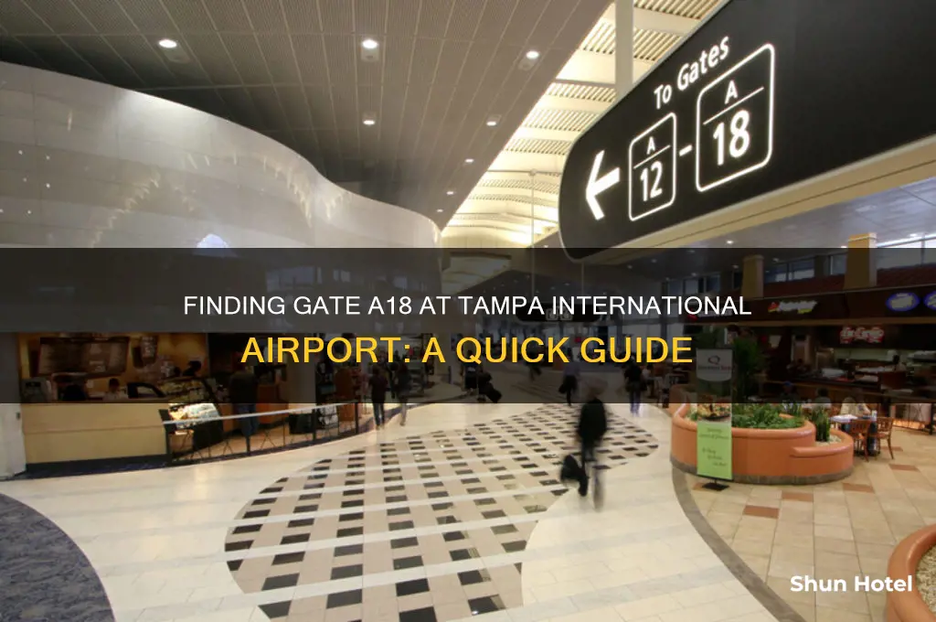 where is gate a18 at tampa international airport