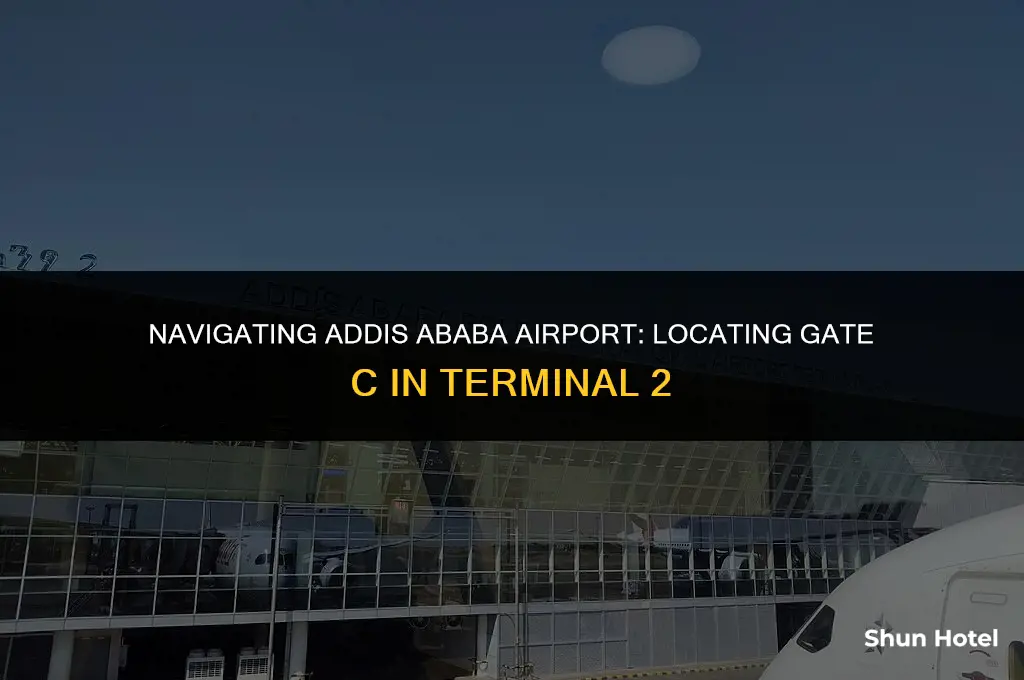 where is gate c terminal 2 addis ababa airport