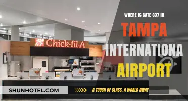 Navigating Tampa International Airport: Locating Gate C37 with Ease