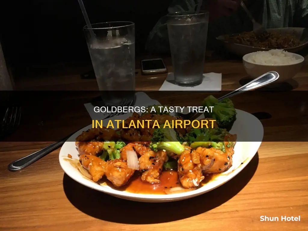 where is goldbergs in atlanta airport