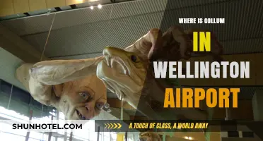 Gollum's Hideout: Wellington Airport's Unique Attraction