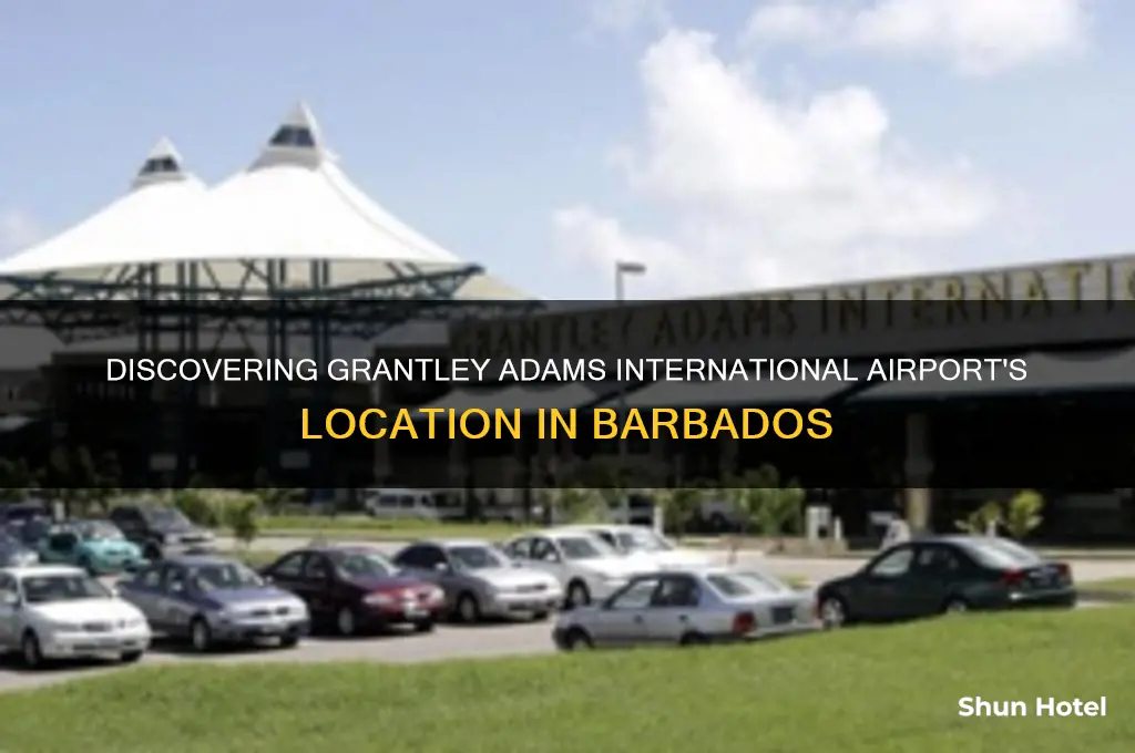 where is grantley adams international airport located