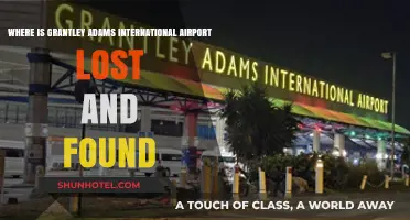 Grantley Adams Airport Lost and Found: Location and Contact Guide